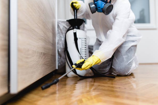 Best Pest Removal Services  in Mankato, MN