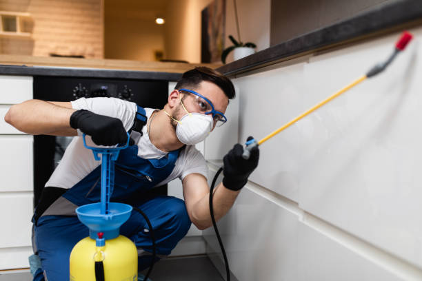Best Commercial Pest Control Services  in Mankato, MN