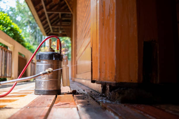 Best Cockroach Control Services  in Mankato, MN