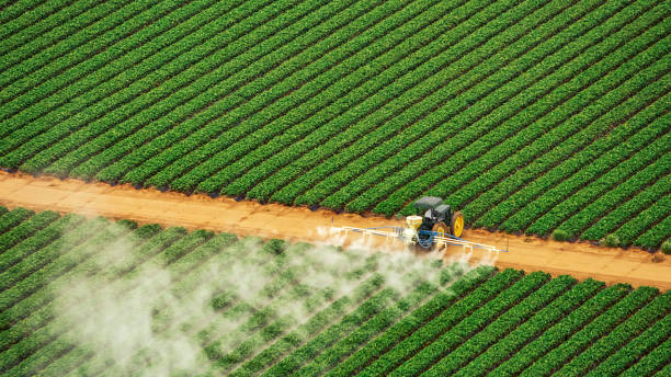 Best Commercial Pest Control Services  in Mankato, MN